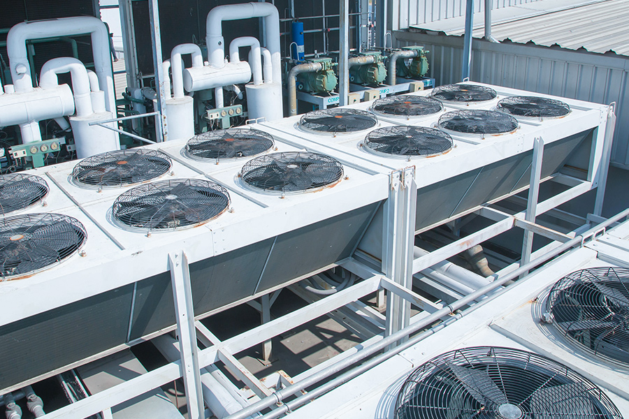Báo cáo Chất lượng và Tính chính trực năm 2025